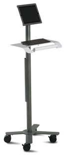 Anthro Peanut iPad Kiosk #PT2GMPW3 / iPad Floor Stand with Writing or Keyboard Surface